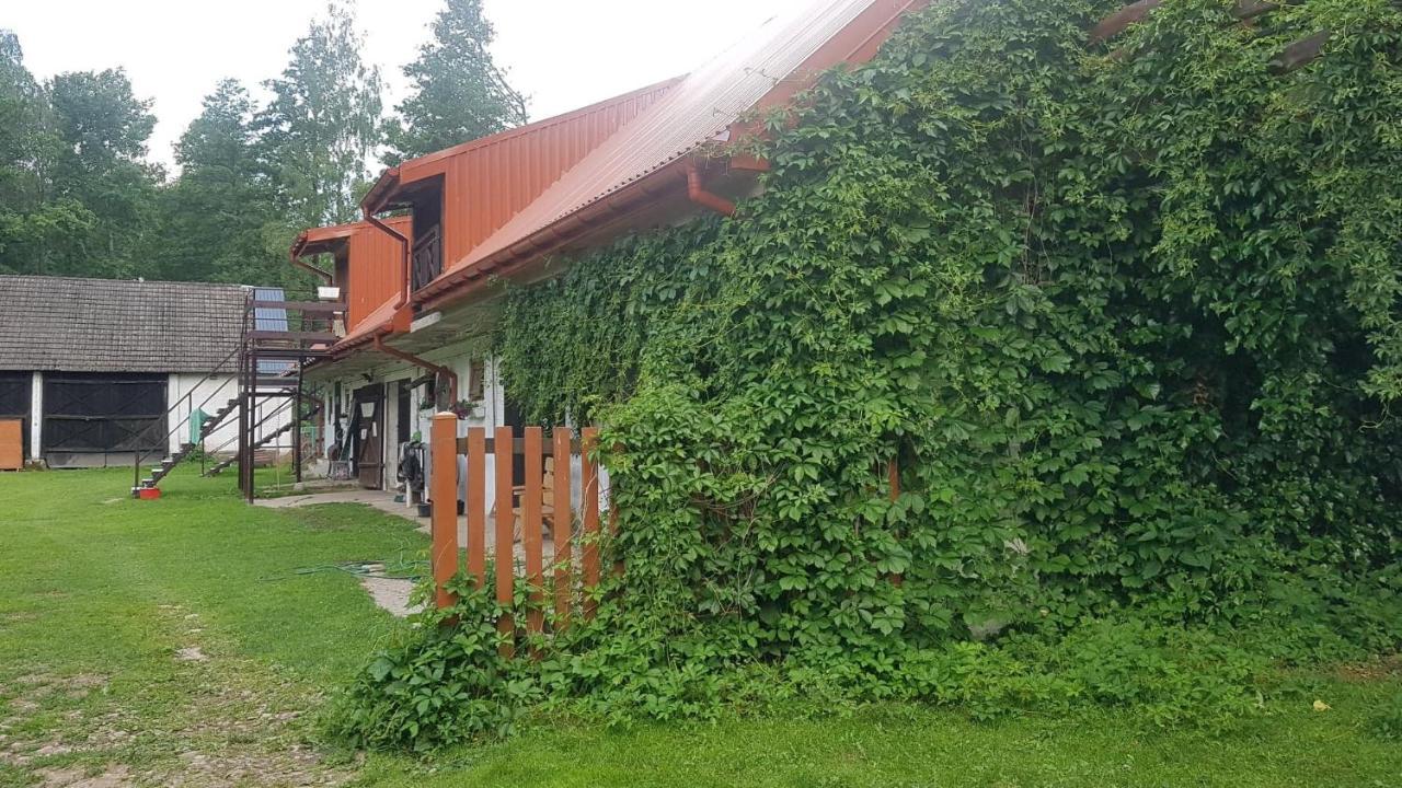 Kurnik Polski Agroturystyka Tykocin Exterior foto