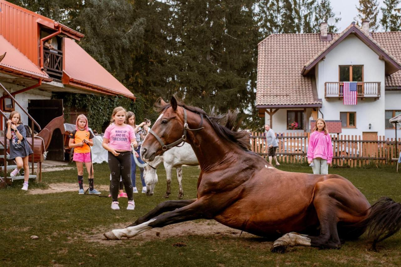 Kurnik Polski Agroturystyka Tykocin Exterior foto